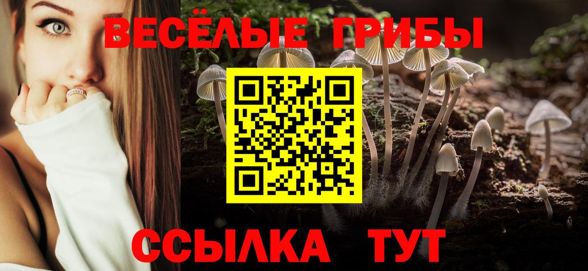 Псилоцибиновые грибы MAGIC MUSHROOMS  Вход с VPN  Барнаул 
